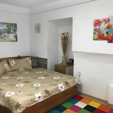 The Charming One Apartment Brasov