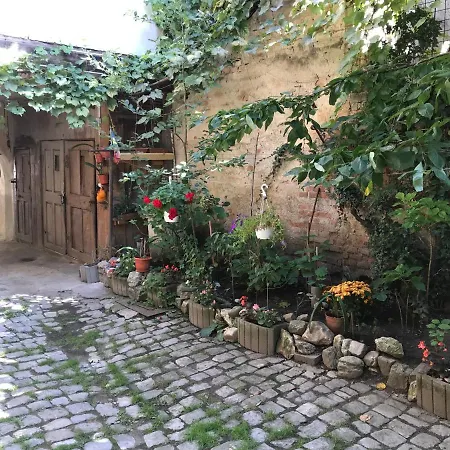 The Charming One * Brasov